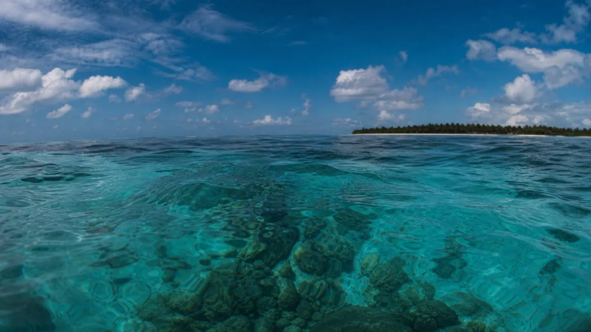 Océan Pacifique : secrets du plus grand océan de la planète